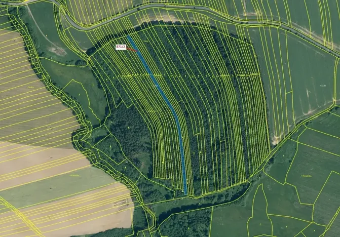 Dražba lesa, Janovice nad Úhlavou, 4727 m2