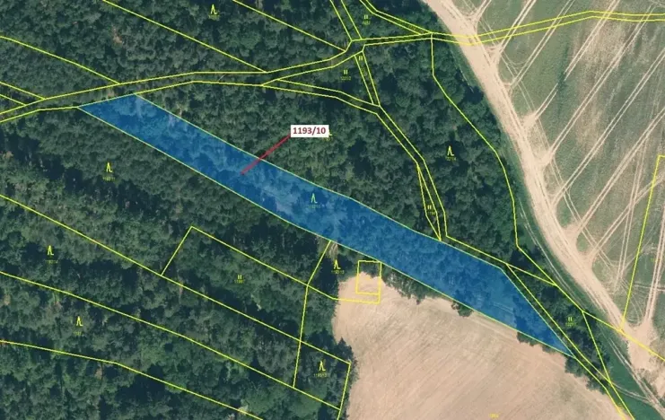 Dražba lesa, Jesenice, 4694 m2