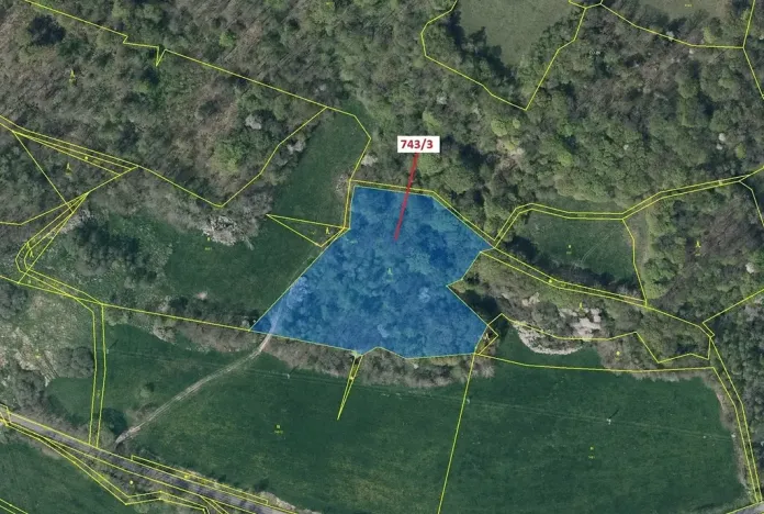 Dražba lesa, Česká Kamenice, 12778 m2