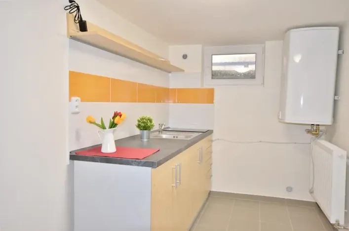 Pronájem bytu 1+1, Brno, Dykova, 39 m2