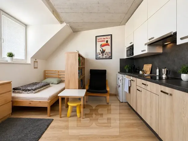 Pronájem bytu 1+kk, Brno, 38 m2
