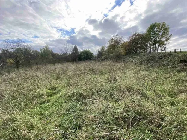 Prodej pozemku, Javorník - Horní Hoštice, 1651 m2