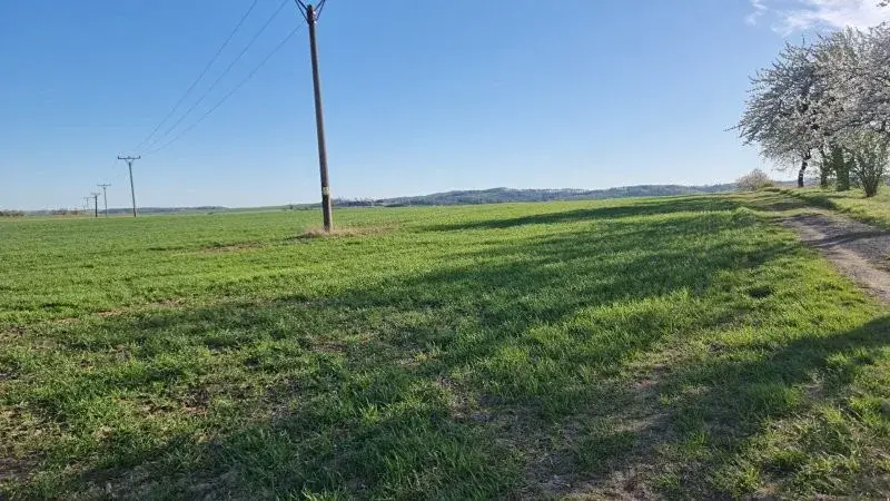 Prodej pole, Rokytnice nad Rokytnou, 25097 m2