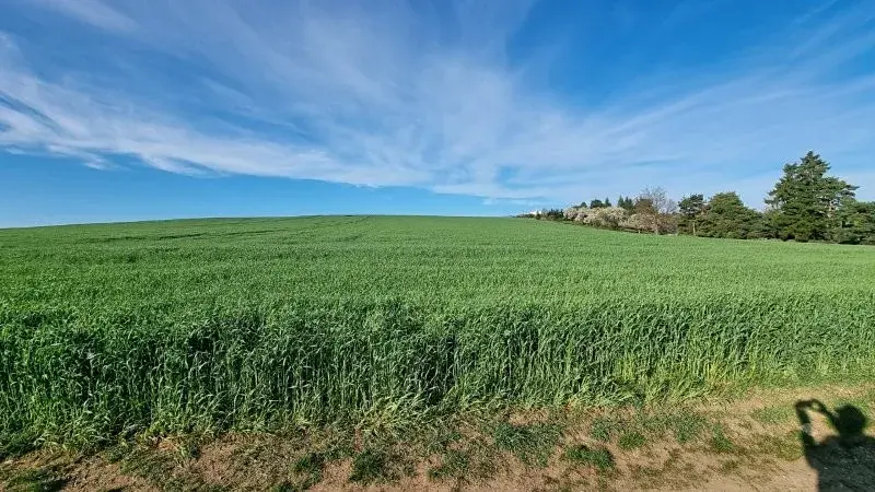 Prodej pole, Rokytnice nad Rokytnou, 25097 m2