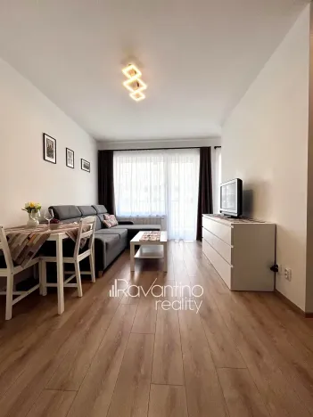 Pronájem bytu 1+kk, Brno, Spolková, 38 m2