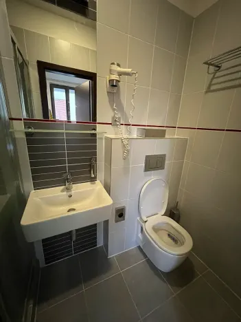 Pronájem bytu 1+kk, Brno, Francouzská, 18 m2