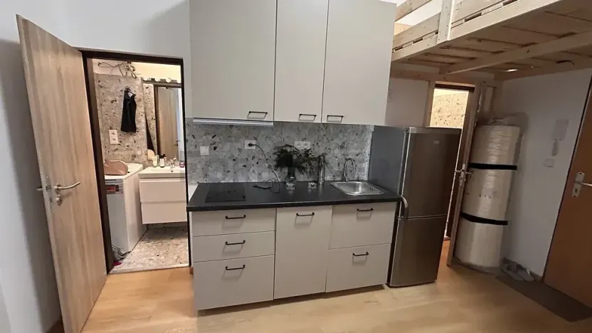 Pronájem bytu 1+kk, Praha - Žižkov, Řehořova, 20 m2