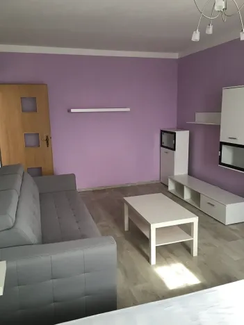Pronájem bytu 1+1, Žatec, 40 m2