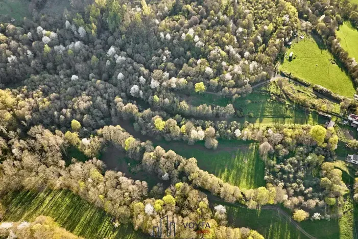 Prodej pozemku pro bydlení, Okounov, 13326 m2
