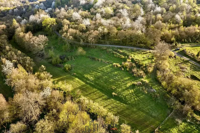 Prodej pozemku pro bydlení, Okounov, 13326 m2