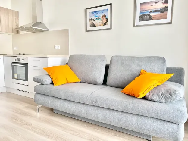 Pronájem bytu 1+kk, Praha - Vršovice, Petrohradská, 30 m2