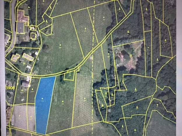 Prodej louky, Loužnice, 3786 m2