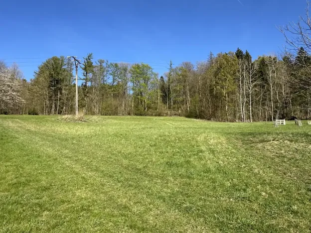 Prodej lesa, Loužnice, 5723 m2