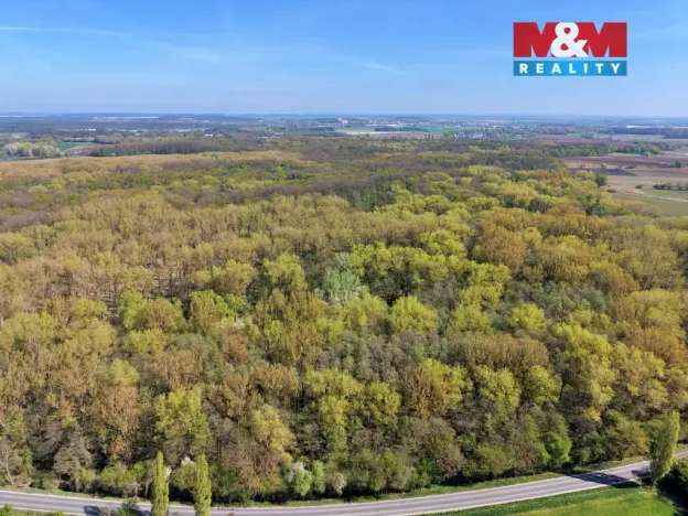 Prodej lesa, Přerov nad Labem, 70048 m2