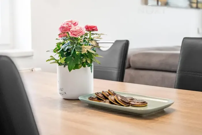 Prodej bytu 2+kk, Prostějov, Werichova, 67 m2