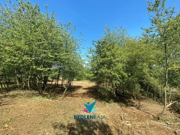 Prodej pozemku pro bydlení, Chabařovice, 1674 m2