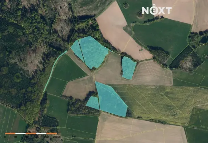 Prodej lesa, Věž, 41070 m2