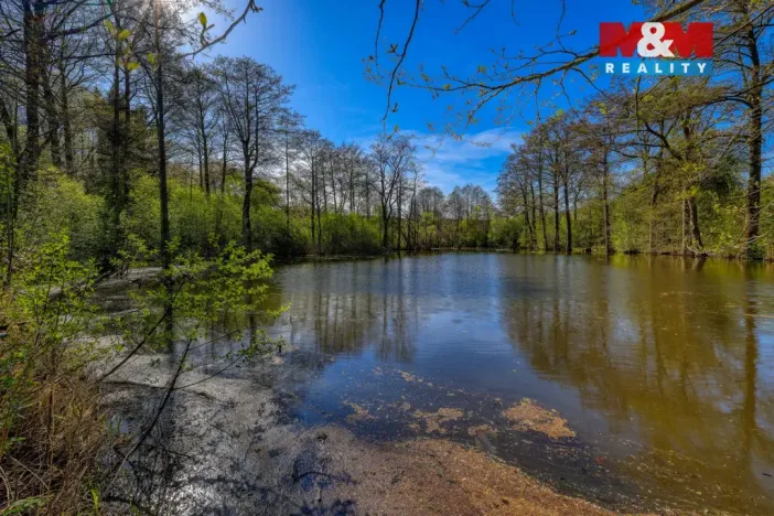 Prodej zemědělské usedlosti, Vidice, 110 m2