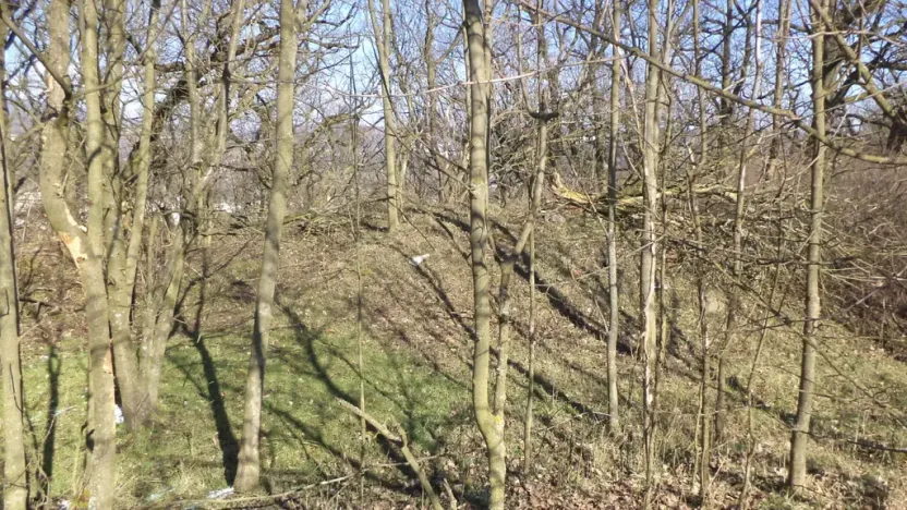 Prodej pozemku, Ústí nad Labem, 7064 m2