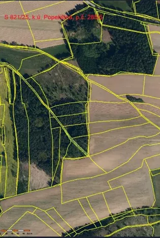 Prodej lesa, Červená Řečice, 308 m2