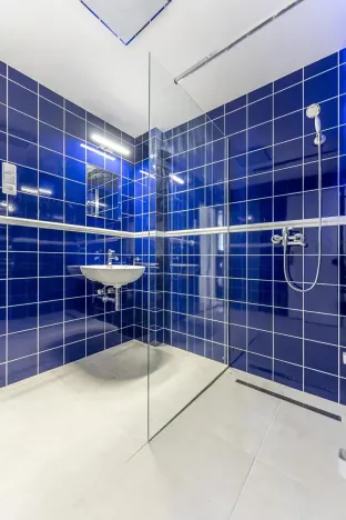 Pronájem bytu 2+1, Praha - Vinohrady, Italská, 59 m2