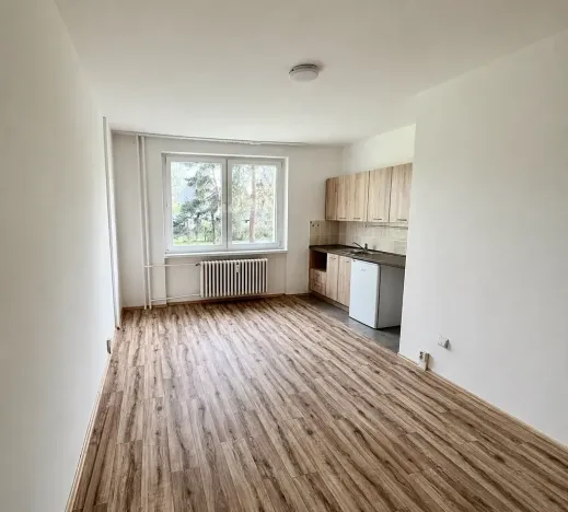 Pronájem bytu 1+kk, Frýdek-Místek, Slezská, 23 m2