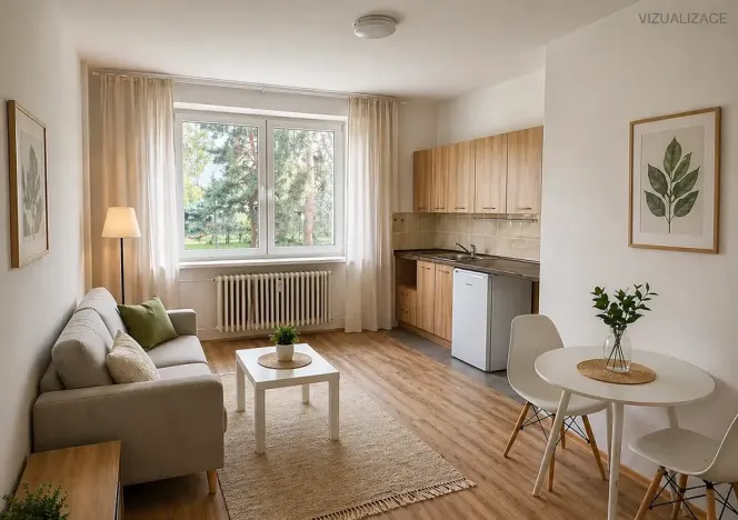 Pronájem bytu 1+kk, Frýdek-Místek, Slezská, 23 m2