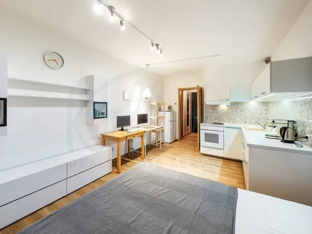 Pronájem bytu 1+kk, Praha - Malešice, Nad úžlabinou, 32 m2
