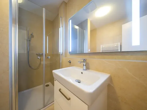 Pronájem bytu 1+kk, Brno, U zoologické zahrady, 29 m2