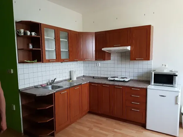 Pronájem bytu 1+kk, Staré Město, Moravní nábřeží, 38 m2