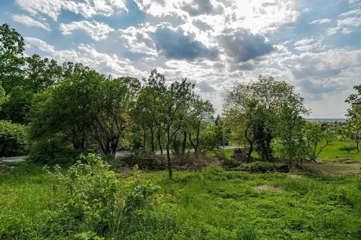 Prodej pozemku pro bydlení, Veliny, 1236 m2