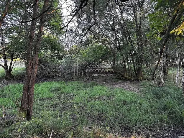 Prodej pozemku pro bydlení, Nová Ves, 4929 m2