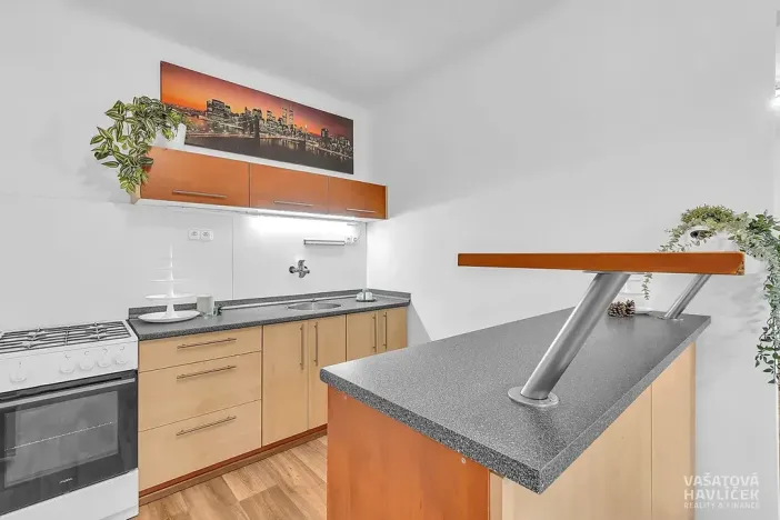 Prodej bytu 1+1, Hradec Králové, Horova, 44 m2