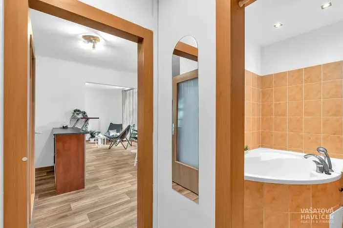 Prodej bytu 1+1, Hradec Králové, Horova, 44 m2