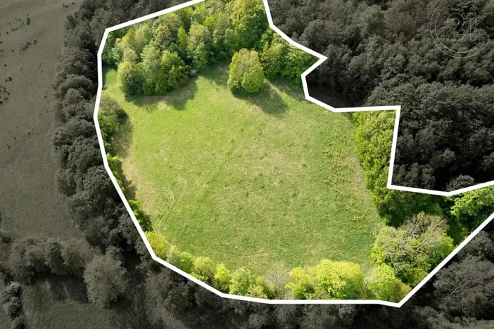 Prodej louky, Děčín, 27274 m2