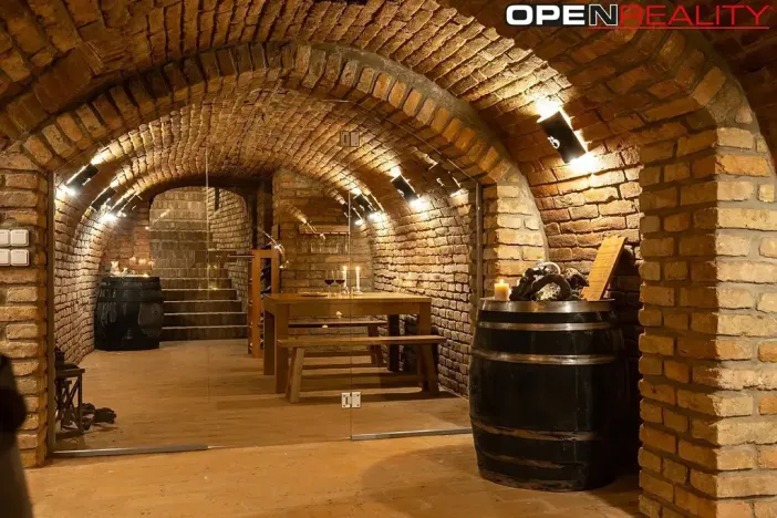 Prodej vícegeneračního domu, Dolní Bojanovice, Vinařská, 367 m2