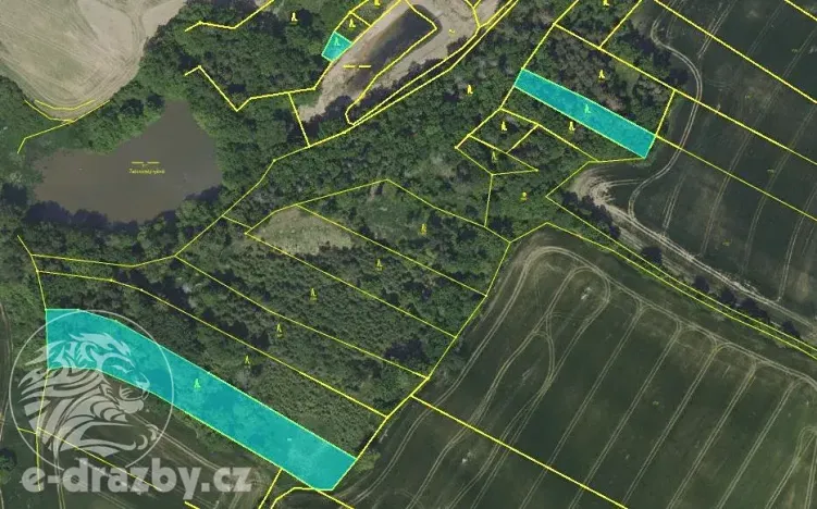 Prodej lesa, Chotýšany, 21423 m2