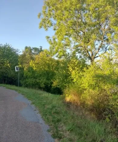 Prodej pozemku, Hlince, 192 m2