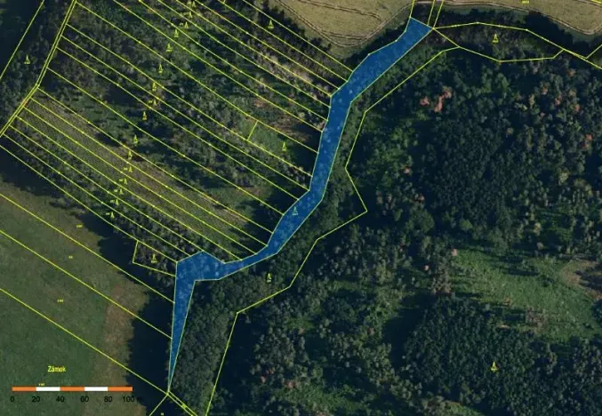 Prodej lesa, Dolní Vilémovice, 5435 m2