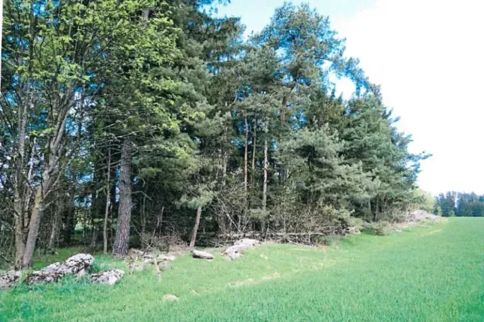 Prodej lesa, Nová Bystřice, 1069 m2