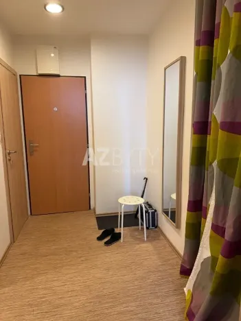 Pronájem bytu 1+kk, Praha - Strašnice, V olšinách, 39 m2