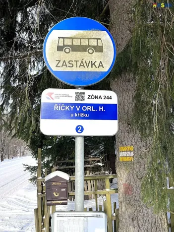 Prodej pozemku pro bydlení, Říčky v Orlických horách, 5940 m2