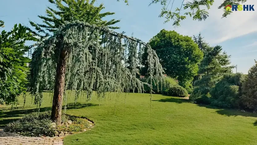 Prodej komerční nemovitosti, Hradec Králové, Petra Jilemnického, 950 m2