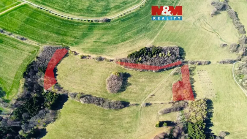 Prodej lesa, Pastviny, 8896 m2