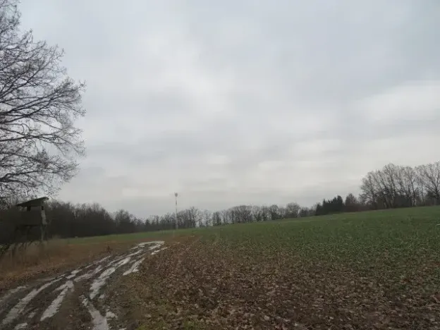 Dražba louky, Račice nad Trotinou, 18528 m2