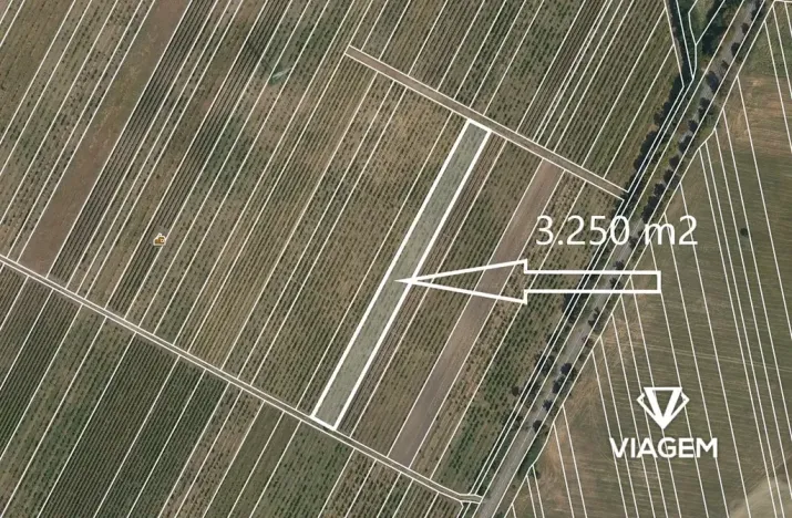 Prodej pole, Valtice, 3250 m2