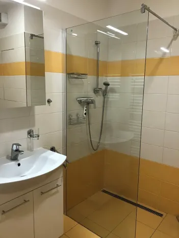 Pronájem bytu 2+kk, Olomouc, Janského, 62 m2