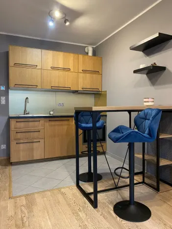 Pronájem bytu 1+kk, Praha - Žižkov, Olšanská, 32 m2