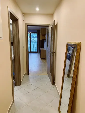 Pronájem bytu 1+kk, Praha - Žižkov, Olšanská, 32 m2