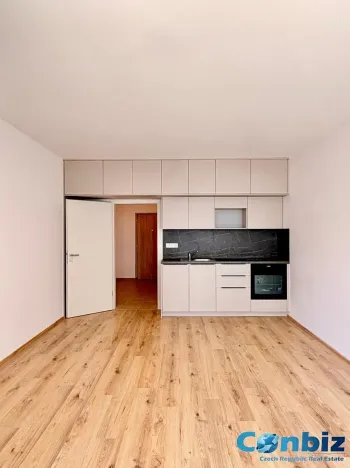 Pronájem bytu 1+kk, Plzeň, Železná, 34 m2